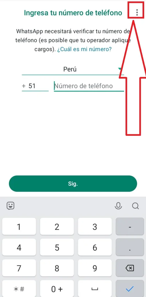 Introduce tu número de teléfono