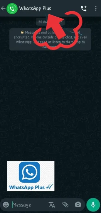 perfil de WhatsApp del contacto deseado.
